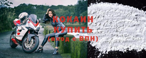 молекула духа Алексин