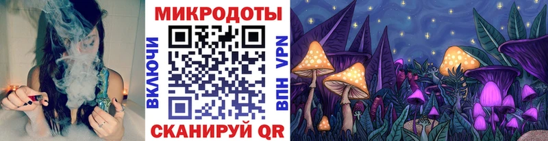 KRAKEN зеркало  Копейск  Галлюциногенные грибы Psilocybe 